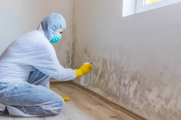Mold Remediation specialist working in Jacksonville